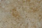 Light Beige Travertine