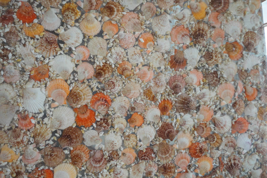 Sea Shell Slab