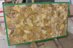 Silicified Wood