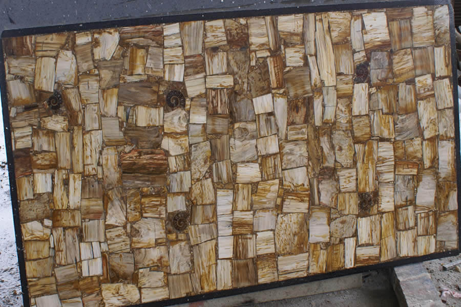 Silicified Wood